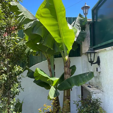 Вілла Retreat Villa, Full Amenities, Up To 40ppl *