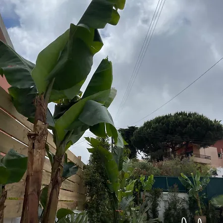 Вілла Retreat Villa, Full Amenities, Up To 40ppl *