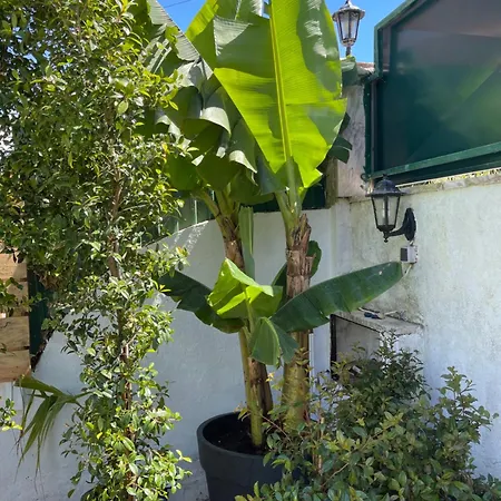 Villa Retreat Villa, Full Amenities, Up To 40ppl Lisboa