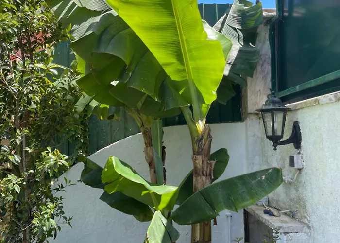 Willa Retreat Villa, Full Amenities, Up To 40ppl *