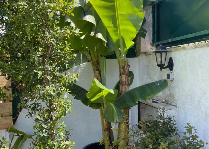 Villa Retreat Villa, Full Amenities, Up To 40ppl Lisboa