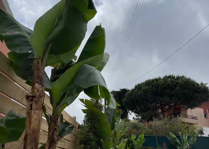 Villa Retreat Villa, Full Amenities, Up To 40ppl *