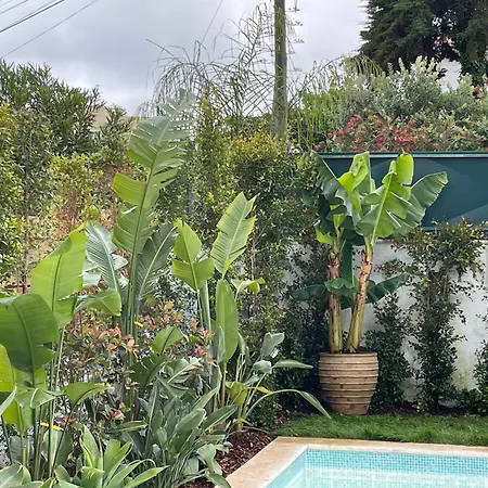 Retreat Villa, Full Amenities, Up To 40ppl וילה