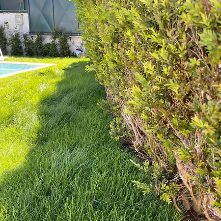 别墅 Retreat Villa, Full Amenities, Up To 40ppl