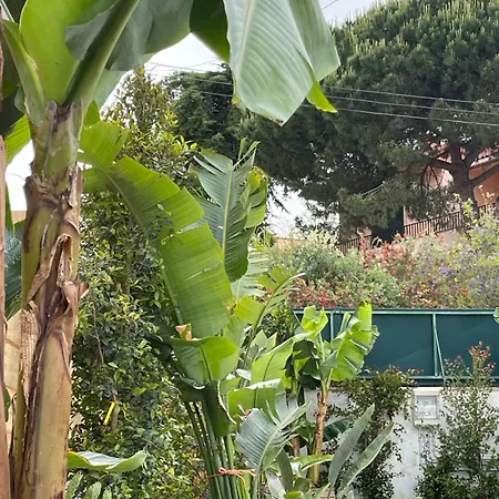 别墅 Retreat Villa, Full Amenities, Up To 40ppl